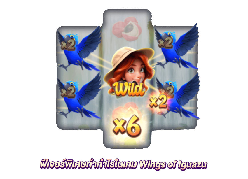 ระบบเฉพาะการเล่นในเกม Wings of Iguazu